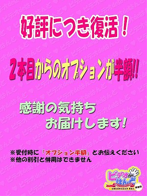 お得なオプション割引!