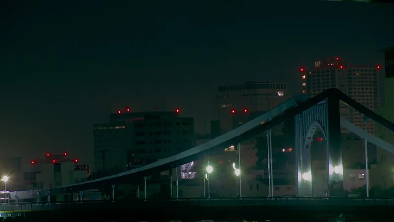 What Shinjuku Does to Your Brain: The Non-Verbal Skills You Bring Home Without Realizing It
